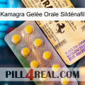 Kamagra Gelée Orale Sildénafil new06